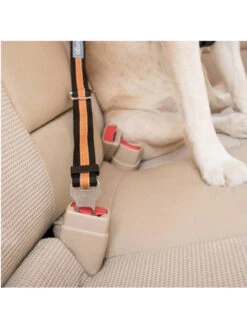 Kurgo Attache De Sécurité Direct To Seatbelt Pour Chien -Chien Produits Boutique attache de securite direct to seatbelt pour chien 2