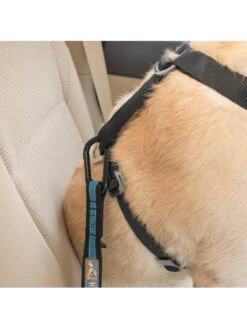 Kurgo Attache De Sécurité Direct To Seatbelt Pour Chien -Chien Produits Boutique attache de securite direct to seatbelt pour chien 3