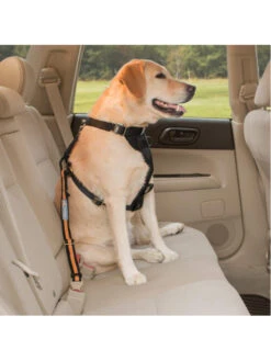 Kurgo Attache De Sécurité Direct To Seatbelt Pour Chien -Chien Produits Boutique attache de securite direct to seatbelt pour chien 4
