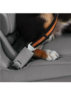 Kurgo Attache De Sécurité DTS Swivel Pour Chien