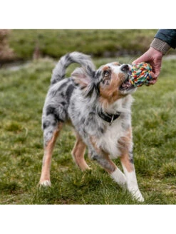 Balle De Jeu Nobby -Chien Produits Boutique balle de jeu nobby 2