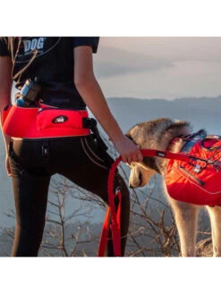 Baudrier Canicross Confort Trek I-DOG 5 Baudrier Canicross Confort Trek I-DOG -Chien Produits Boutique baudrier canicross confort trek taille unique rouge new 2021 1