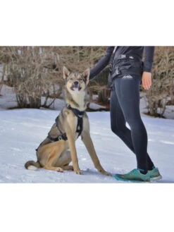 Baudrier Raidlight I-Dog -Chien Produits Boutique baudrier raidlight i dog 2