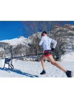 Baudrier Raidlight I-Dog -Chien Produits Boutique baudrier raidlight i dog 5