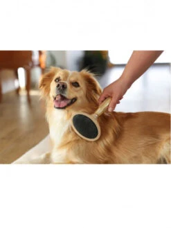 Brosse Carde Douce MagicBrush -Chien Produits Boutique brosse carde douce magicbrush kerbl 3
