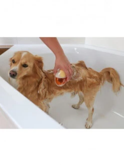 Brosse De Bain Chien MagicBrush -Chien Produits Boutique brosse de bain chien magicbrush 3