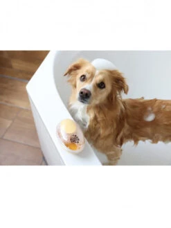 Brosse De Bain Chien MagicBrush -Chien Produits Boutique brosse de bain chien magicbrush 4