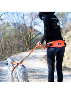 Ceinture De Canicross One I-Dog 7 Ceinture De Canicross One I-Dog -Chien Produits Boutique ceinture de canicross one i dog 3