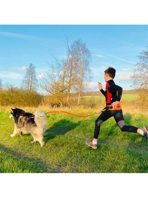 Ceinture De Canicross One Light I-DOG 2 Ceinture De Canicross One Light I-DOG – Image 2