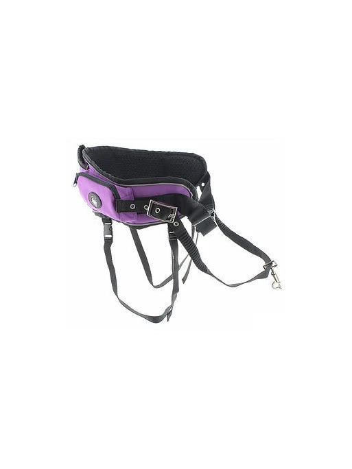 Ceinture De Traction CaniCross 1 Ceinture De Traction CaniCross