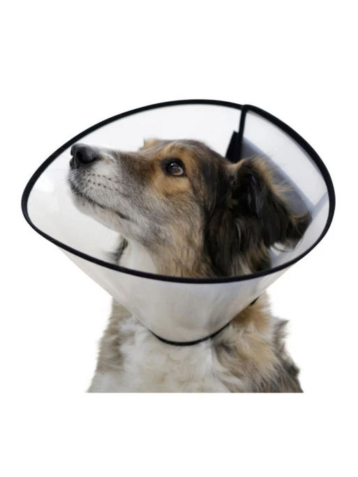 Collerette Pour Chien Kerbl 1 Collerette Pour Chien Kerbl