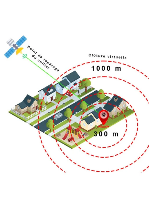 Collier Anti-fugue Area ROG 1 Collier Anti-fugue Area ROG