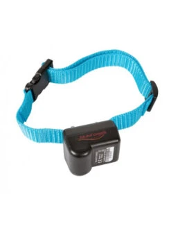 Collier Num'axes Canicalm First Anti-aboiement