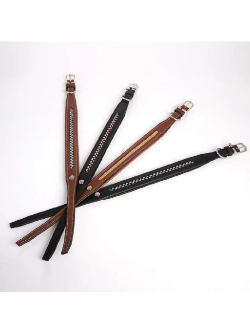 Collier Pour Chien Antarès 1 Collier Pour Chien Antarès