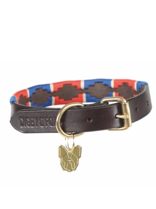 Collier Pour Chien Digby & Fox 2 Collier Pour Chien Digby & Fox – Image 2