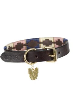 Collier Pour Chien Digby & Fox