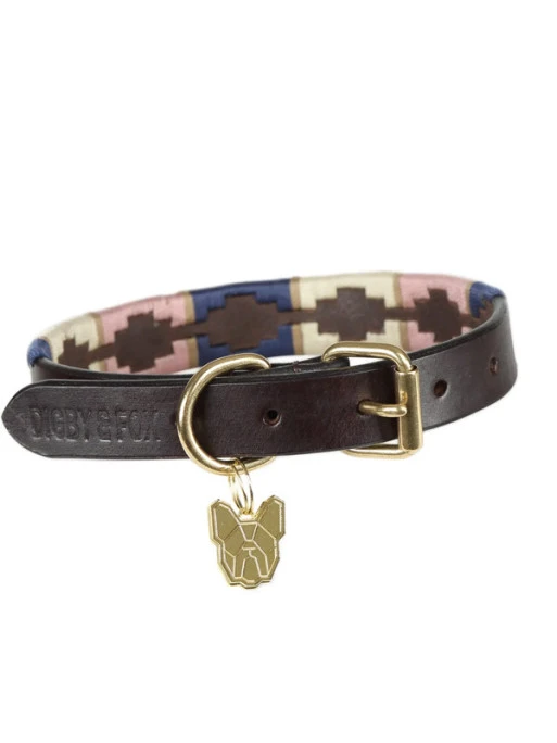 Collier Pour Chien Digby & Fox 1 Collier Pour Chien Digby & Fox
