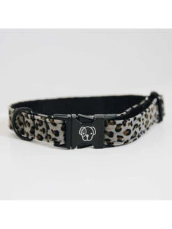 Collier Pour Chien Léopard Kentucky -Chien Produits Boutique collier pour chien leopard kentucky 2