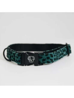 Collier Pour Chien Léopard Kentucky -Chien Produits Boutique collier pour chien leopard kentucky 6