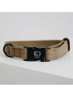 Collier Pour Chien Lizard Kentucky -Chien Produits Boutique collier pour chien lizard kentucky 3