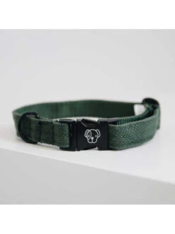 Collier Pour Chien Lizard Kentucky -Chien Produits Boutique collier pour chien lizard kentucky 4