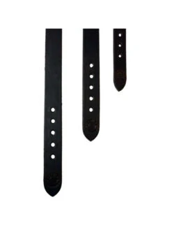 Collier Pour Chien Taille 1 Pravins