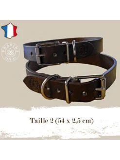 Collier Pour Chien Taille 2 Pravins -Chien Produits Boutique collier pour chien taille 2 pravins 3