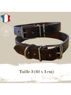Collier Pour Chien Taille 3 Pravins -Chien Produits Boutique collier pour chien taille 3 pravins 3