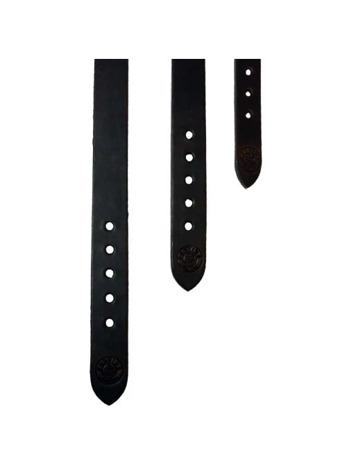 Collier Pour Chien Taille 4 Pravins 3 Collier Pour Chien Taille 4 Pravins – Image 3