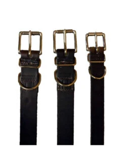 Collier Pour Chien Taille 4 Pravins