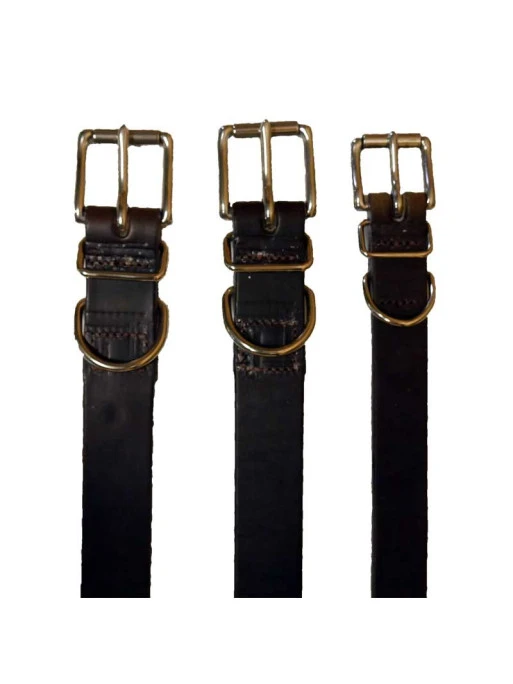 Collier Pour Chien Taille 4 Pravins 1 Collier Pour Chien Taille 4 Pravins