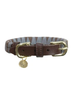 Collier Pour Chien Triangle Kentucky -Chien Produits Boutique collier pour chien triangle kentucky 3