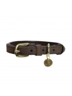 Collier Pour Chien Velvet Leather Kentucky