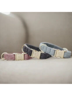 Collier Pour Chien Wool Kentucky -Chien Produits Boutique collier pour chien wool kentucky 2