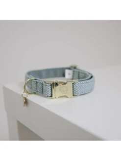 Collier Pour Chien Wool Kentucky