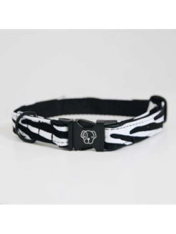 Collier Pour Chien Zebra Kentucky