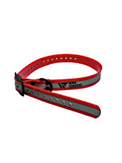 Collier Réfléchissant X-Pert 2.5 X 0.25 X 79cm Wild Tracker