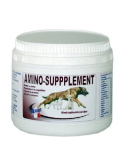 Complément Alimentaire Amino Supplément 1.2kg Rekor