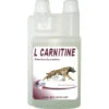 Complément Alimentaire Effort Et Récupération L-Carnitine 250ml Rekor