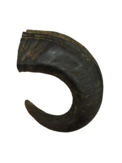 Corne De Buffle L 320g Bubimex