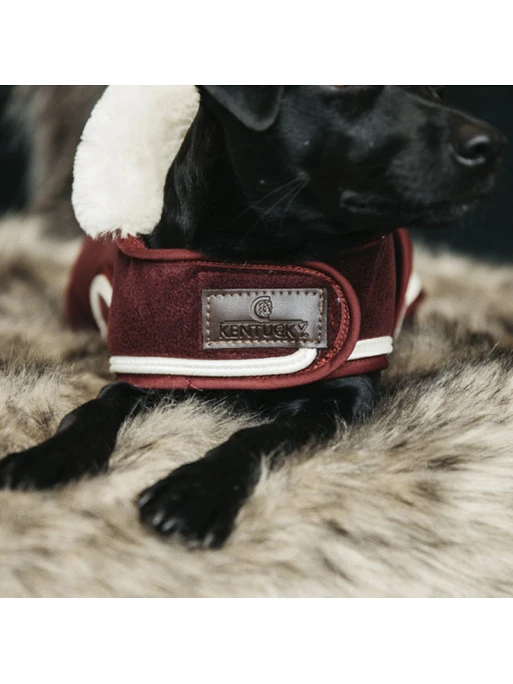 Couverture Chien Heavy Fleece Kentucky 1 Couverture Chien Heavy Fleece Kentucky