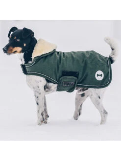 Couverture Chien Imperméable Kentucky -Chien Produits Boutique couverture chien impermeable kentucky 9
