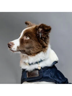 Couverture Chien Matelassée Kentucky 11 Couverture Chien Matelassée Kentucky -Chien Produits Boutique couverture chien matelassee kentucky 4