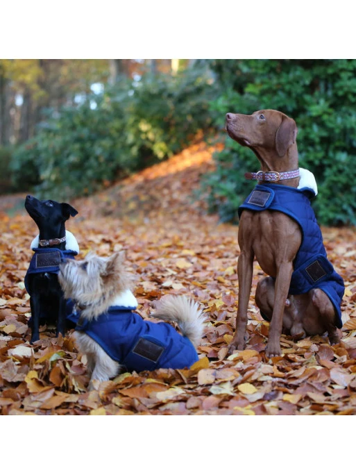 Couverture Chien Matelassée Kentucky 6 Couverture Chien Matelassée Kentucky – Image 6