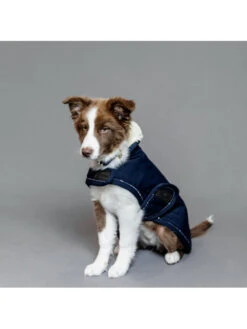 Couverture Chien Pearl Kentucky