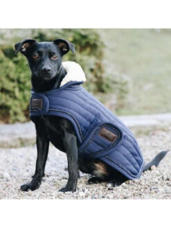 Couverture Chien Pearl Kentucky -Chien Produits Boutique couverture chien pearl kentucky 3