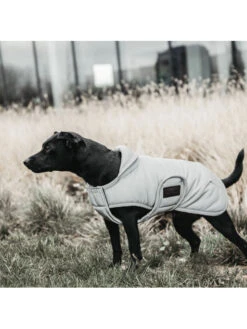 Couverture Chien Réfléchissante Imperméable 150g Kentucky