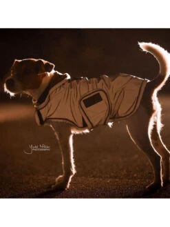 Couverture Chien Réfléchissante Imperméable Kentucky -Chien Produits Boutique couverture chien reflechissante impermeable kentucky 2