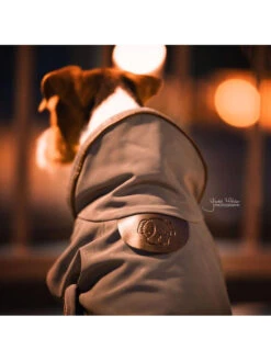 Couverture Chien Réfléchissante Imperméable Kentucky -Chien Produits Boutique couverture chien reflechissante impermeable kentucky 5