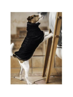 Manteau-serviette Pour Chien Kentucky -Chien Produits Boutique couverture chien towel kentucky 3